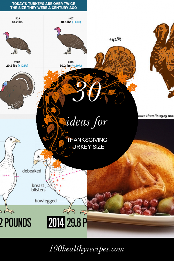 30 Best Ideas Thanksgiving Turkey For Two – Best Diet And Healthy ...